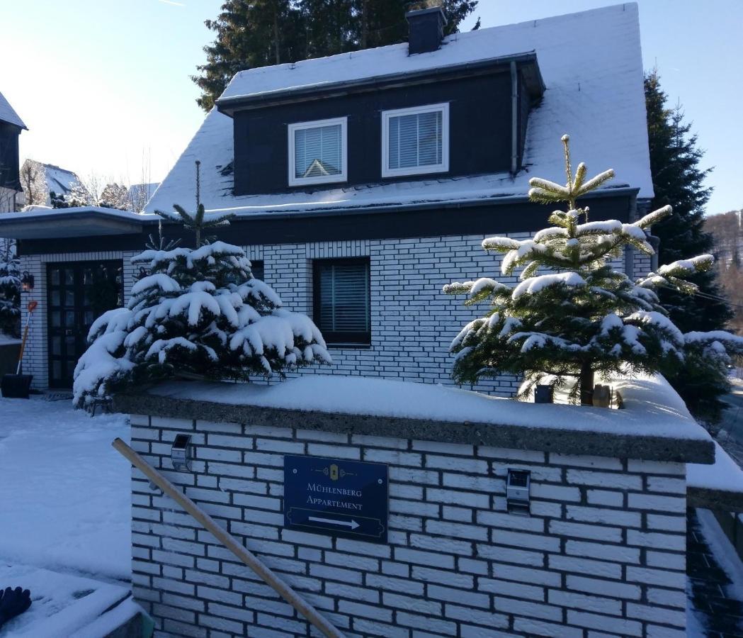 Mühlenberg * Winterberg